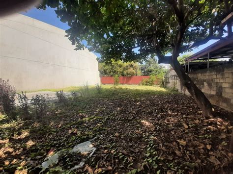 Lot vacant las piñas .